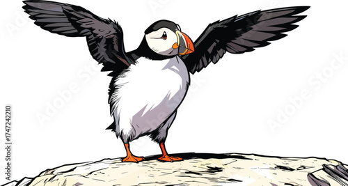 close-up-puffin illustration