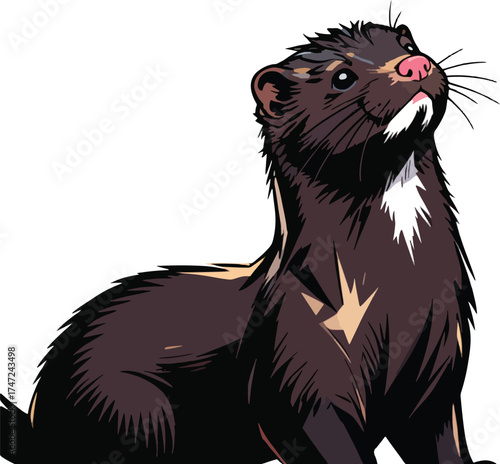 closeup-shot-american-ferret-blurred-background illustration