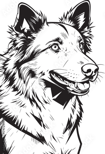 beautiful-closeup-portrait-dog vector line art