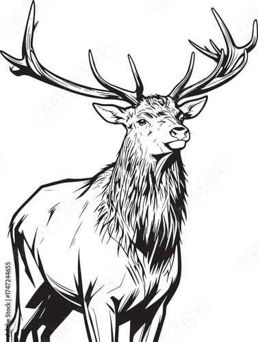 beautiful-male-deer-field-sunny-day vector line art