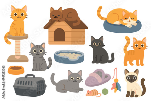 Cat accessories vector set with cute cartoon cats. Includes scratching post, house, bed, food, litter box, carrier, toys. Pet shop stuff for domestic animal care. Flat design.