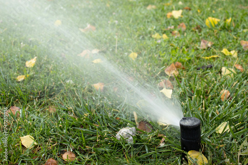 Tight view of a sprinkler jet streaming across green lawn, droplets frozen in motion. Great for irrigation, lawn care, water pressure, and landscaping service visuals.