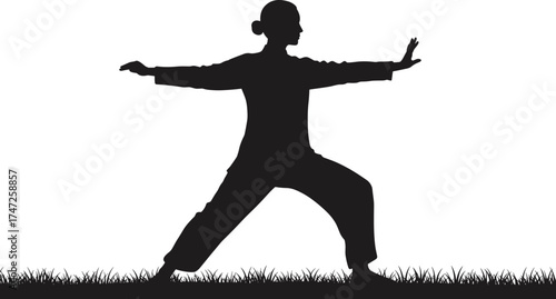 Martial arts silhouette, tai chi pose, grass patch, focused stance, bun hairstyle, loose clothing, balance, mindfulness, illustration