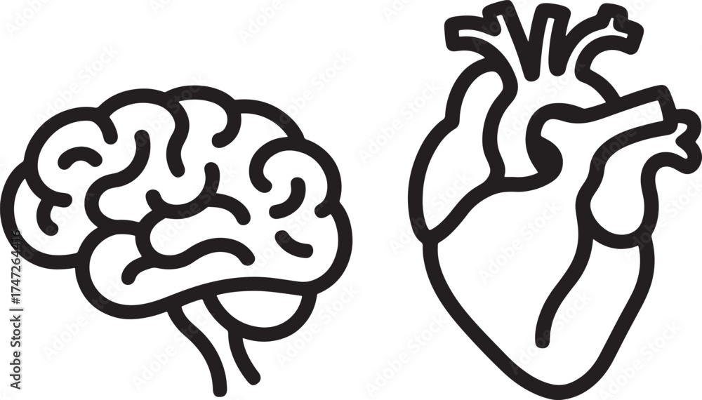 Fototapeta premium Human brain and heart icons side by side on white background Keywords: brain, heart, human, anatomy