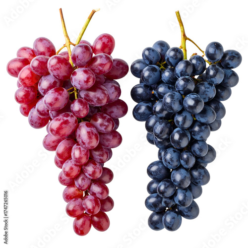 Wallpaper Mural Two grape bunches red and purple. Each with vibrant hues, a healthy look, and translucent skins Torontodigital.ca