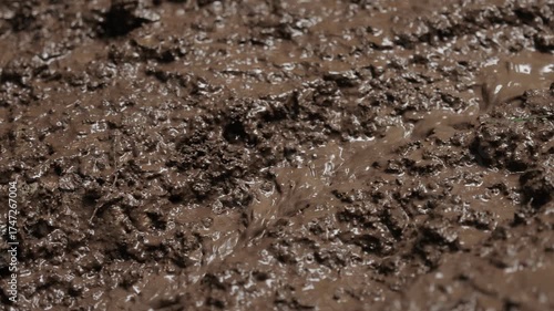 A detailed slow-motion video of muddy water rippling and flowing over soft earth after rainfall. The rich texture and movement of wet soil capture the raw, organic beauty of nature in motion.