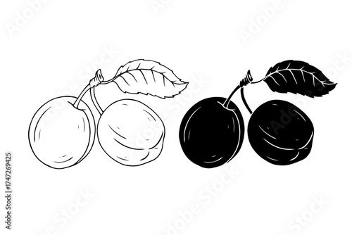 Line sketch, plum fruit silhouette. Vector graphics.