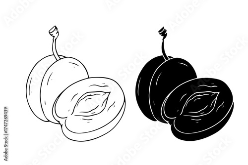Line sketch, plum fruit silhouette. Vector graphics.