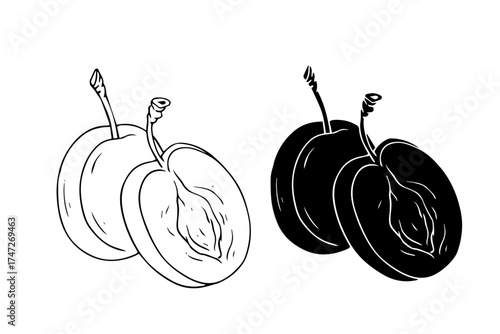 Line sketch, plum fruit silhouette. Vector graphics.