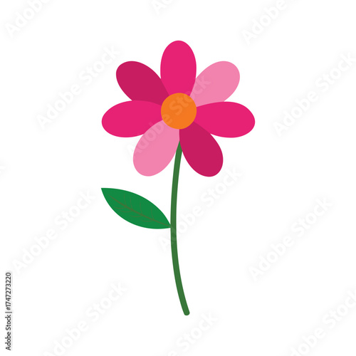 simple cosmos flower vector illustration