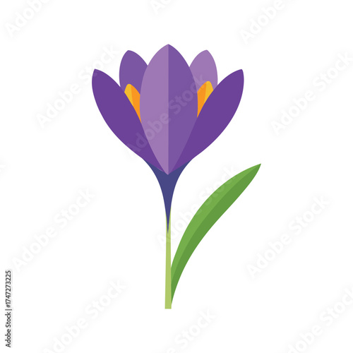 simple crocus flower vector illustration