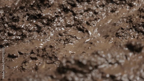 A detailed slow-motion video of muddy water rippling and flowing over soft earth after rainfall. The rich texture and movement of wet soil capture the raw, organic beauty of nature in motion.
