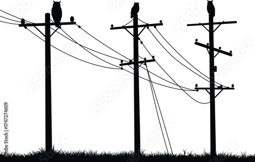 Utility pole silhouettes with owls, power line structures, electricity distribution, urban and rural energy grid, electrical infrastructure, nature and industry contrast