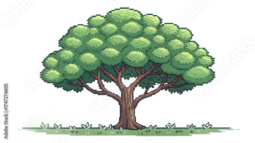 Billede på lærred Pixel tree asset, simple round foliage, transparent background, modular shape fo