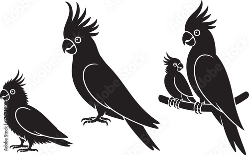 Three Cockatoo Parrot Silhouettes Black Vector Illustration Set Isolated Transparent Background