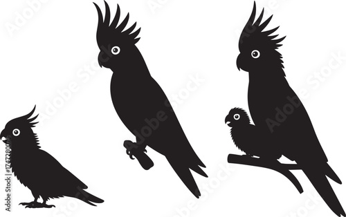 Three Cockatoo Parrot Silhouettes Black Vector Illustration Set Isolated Transparent Background