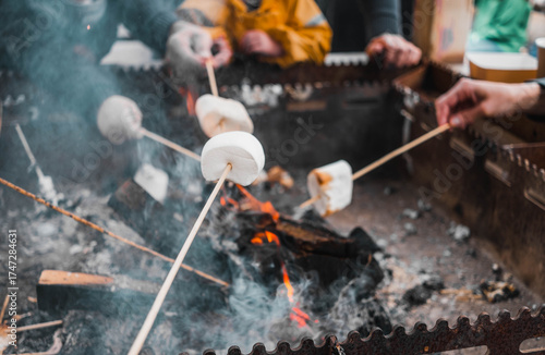 People roasting marshmallows over an open campfire, cozy outdoor gathering with smoke and flames, camping fun and warm social activity in nature