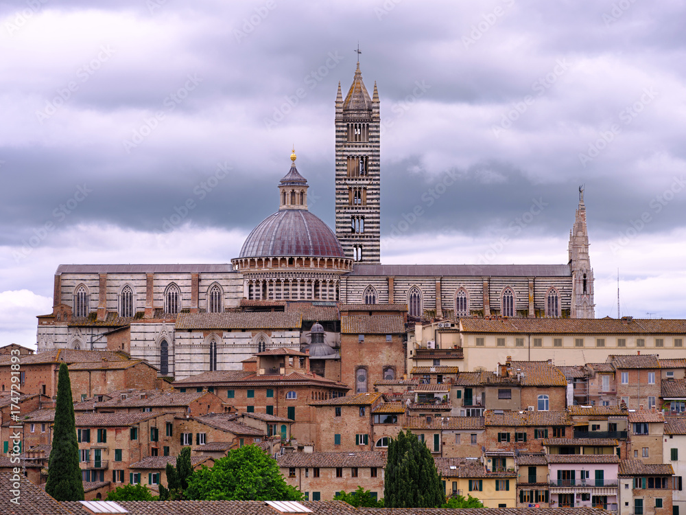 Obraz premium Siena Cathedral City Skyline Striped Bell Tower Dome Italian Rooftops