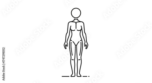 Minimalist line art illustration of a standing female human body with anatomical outlines.