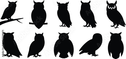 Owl silhouette collection, black bird icons, perched owl shapes, wildlife vector set, nocturnal animal graphics, flat vector illustration