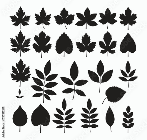 Collection of diverse black leaf silhouettes representing various tree and plant species in autumn and spring