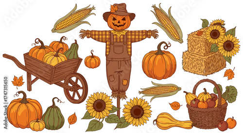 Vector art of autumn harvest elements with scarecrow, pumpkins, corn, sunflowers