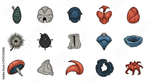 Vector art of collection of abstract organic shapes and textures