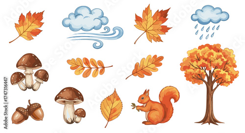 Vector art of autumn elements