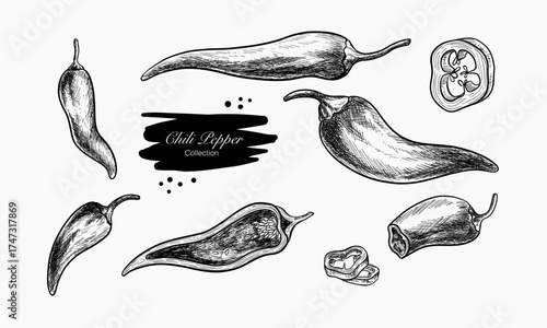 A Collection Of Hand Drawn Chili Peppers And Slices