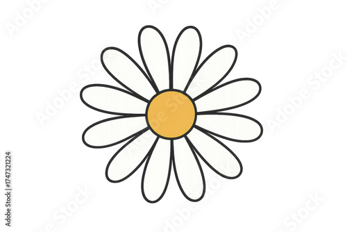 Daisy flower graphic illustration on transparent background