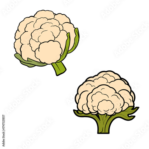 Freshly harvested cauliflower heads bring healthy eating to mind, perfect for recipes, nutrition guides, and promoting wholesome diets with these tasty veggies