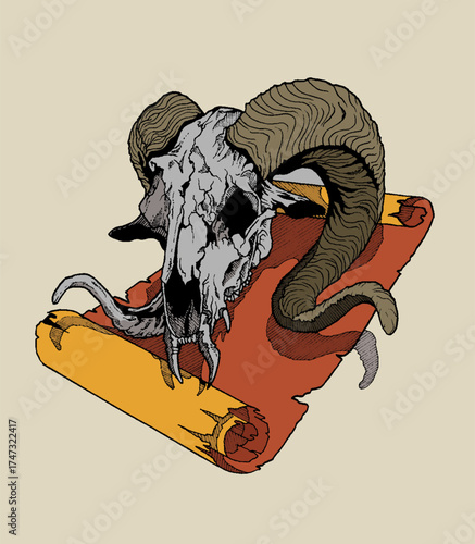 Vector image of a goat skull with large and beautiful horns.
