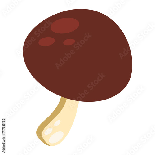 Delicious mushroom illustration, perfect for culinary designs or educational materials, showcasing earthy tones and a simple, appealing style for chefs and food enthusiasts