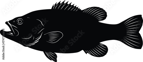 Black fish silhouette vector illustration, detailed aquatic animal design, freshwater bass fish clipart, marine wildlife art, fishing logo element for print and digital use