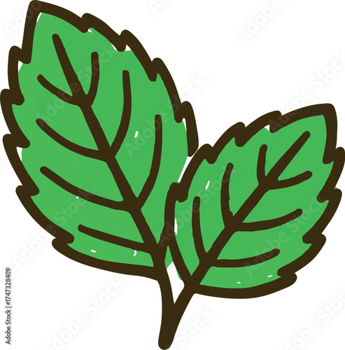 Mint leaves illustration in naive doodle style with green pastel colour and thick outlines perfect for tea or dessert packaging design