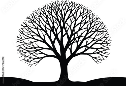 Beautiful round tree silhouette with detailed bare branches vector illustration representing nature, balance, strength, and organic environmental design for decoration.
