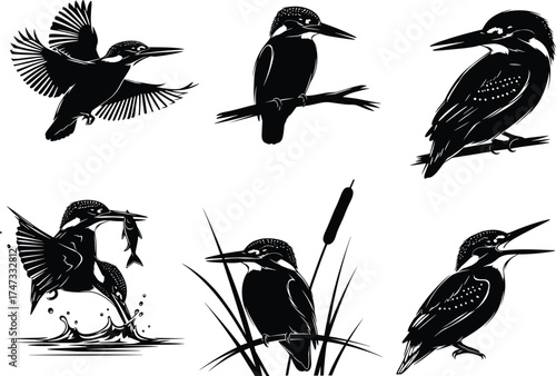 Bird silhouette perched on branch, flying motion, floral accent, singing pose, nature scene, black vector, cad drawing flat vector illustration