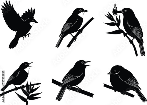 Bird silhouette vector, perched and flying poses, floral branches, singing birds, nature theme, cad drawing, flat vector illustration, black design