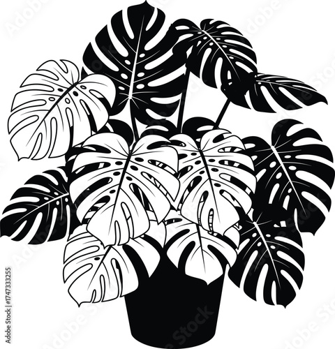 Black and White Monstera Plant Vector Illustration with Tropical Leaves, Indoor Potted Foliage, Minimal Botanical Art for Home Decor