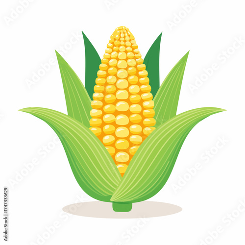 Fresh ear of corn with leaves