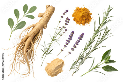 Realistic Dry Herbs and Roots PNG Set – Isolated Ginseng, Turmeric, Ginger, and Lavender on Transparent Background