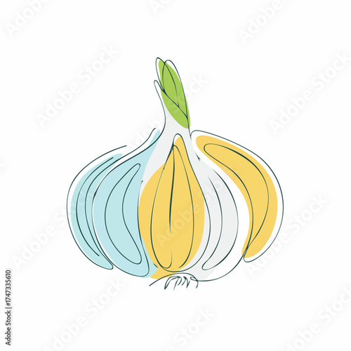 Garlic bulb outline with color accents with transparent background