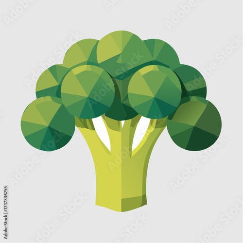 Green broccoli head with stem
