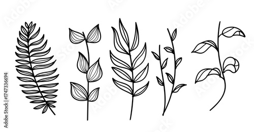 Doodle Hand Drawn Line Art Leaves Botanical Collection. Simple Floral Outline Set Vector.