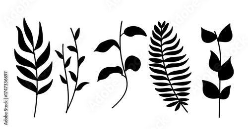 Silhouette Leaves Botanical Collection. Simple Floral with Tree Branch Palm Leaf Set Vector Illustration