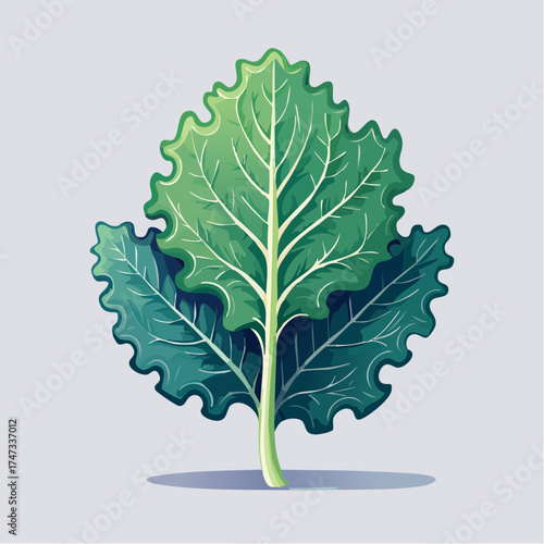 Green kale leaf with wavy edges