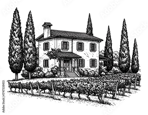 Vintage Italian Villa with Vineyard