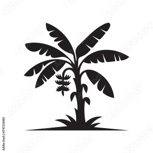 Black silhouette of a banana tree with a bunch of bananas