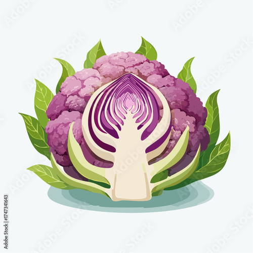 Purple cauliflower cut in half with leaves