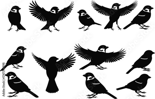 Black silhouette sparrow birds flying and sitting on branches vector illustration, isolated songbird design, wildlife animal icons, decorative nature artwork